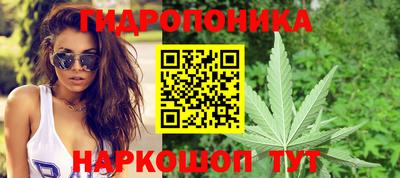 гидропоника Тулун