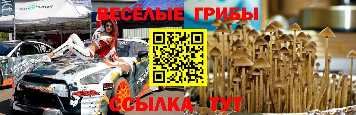 Галлюциногенные грибы мухоморы  Вход с VPN  купить наркотик  Валуйки  Галлюциногенные грибы мухоморы 